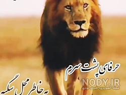 عکس شیر قرمز عکس شیر قرمز