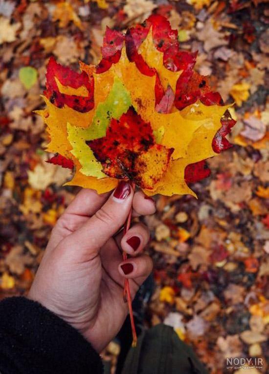 عکس پاییز بارانی