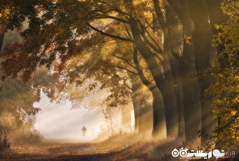 عکس پاییز بارانی