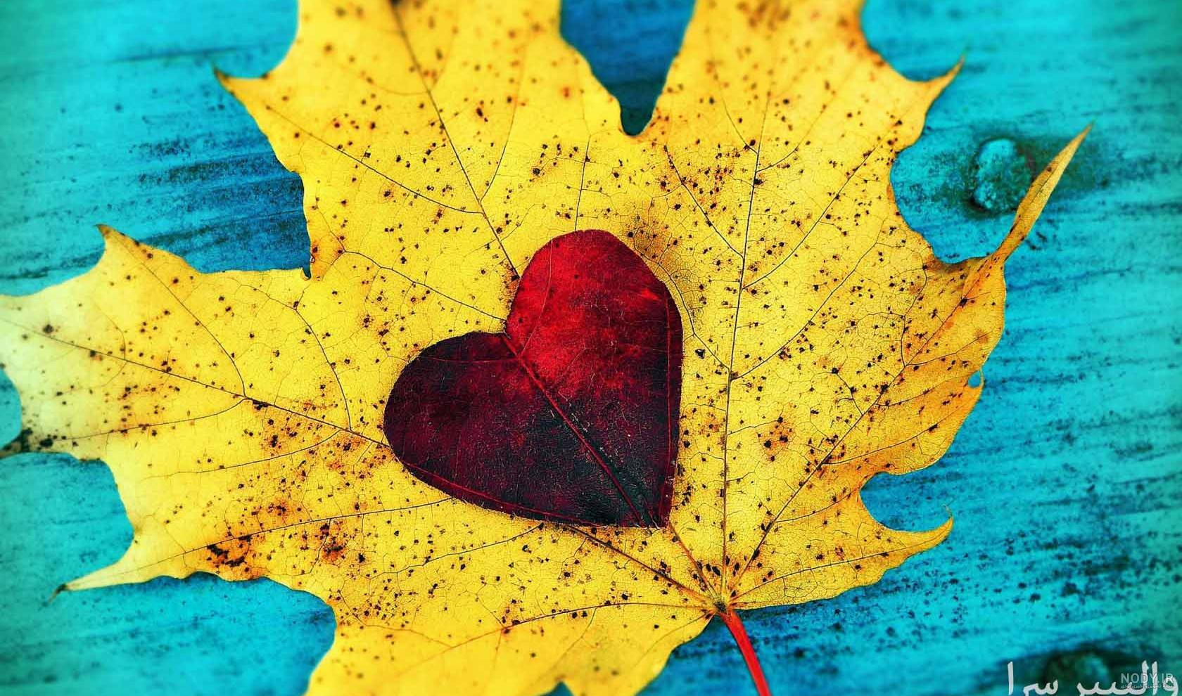عکس پاییز برای پروفایل واتساپ