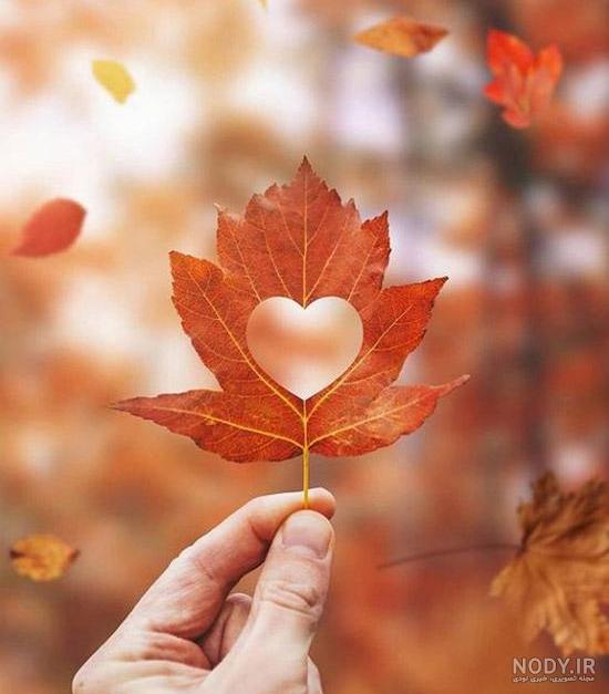 عکس پاییز قلب