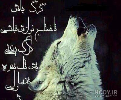 عکس پروفایل تنها ولی وحشی