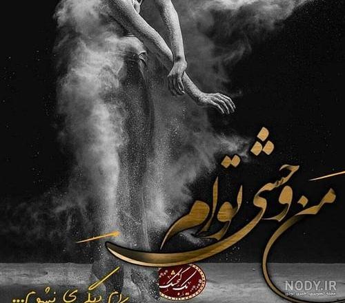 عکس گرگ سیاه واقعی