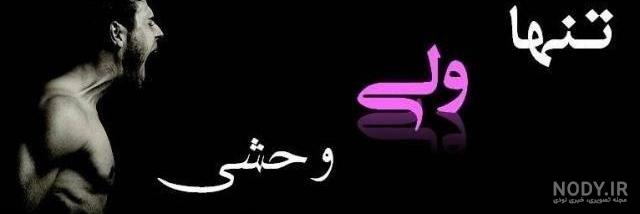 عکس گرگ سیاه چشم قرمز