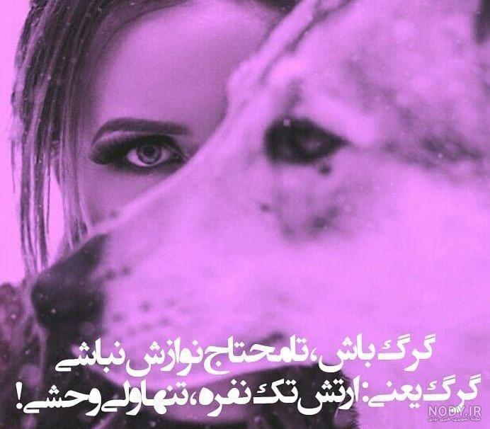 عکس گرگ وحشی سیاه سفید