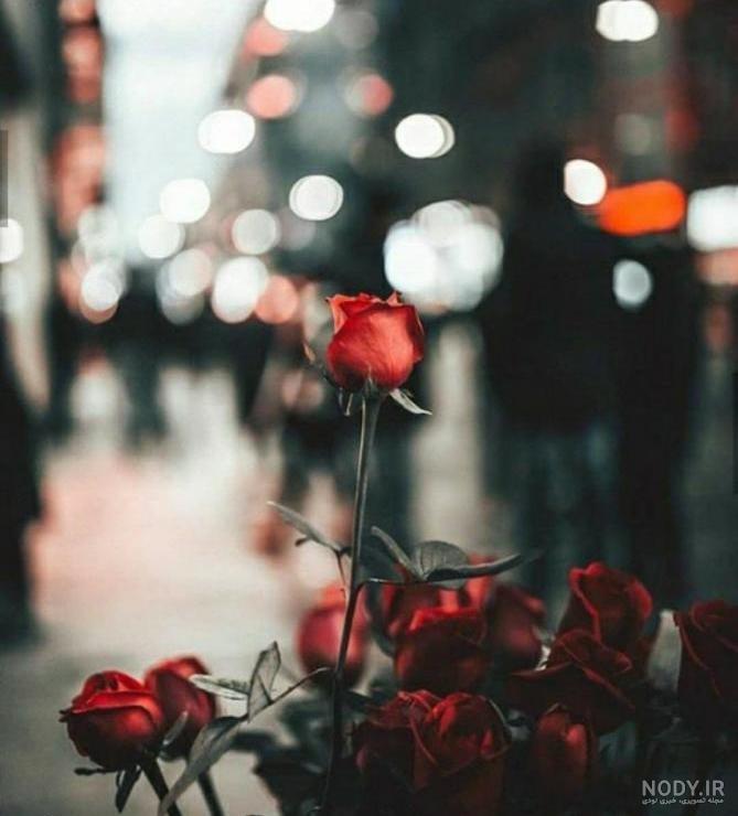 عکس گل برای پروفایل عکس گل برای پروفایل