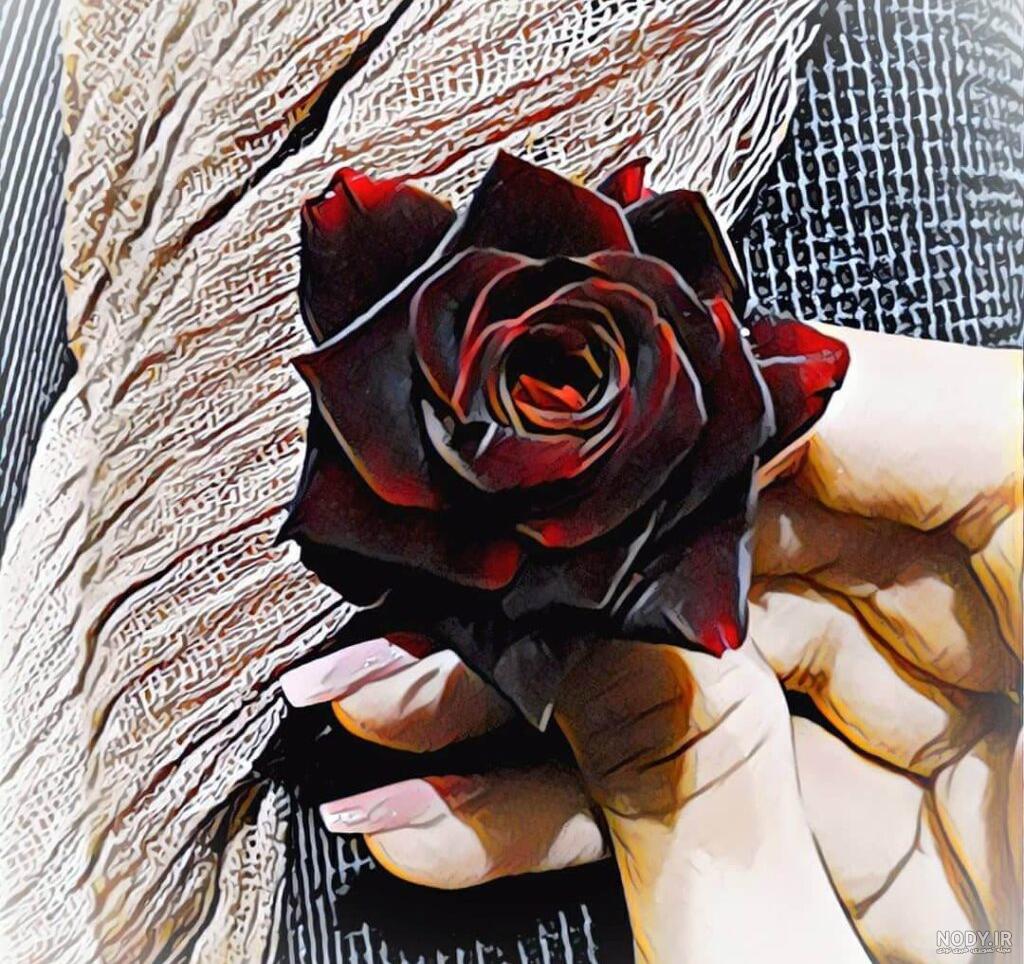 عکس گل برای پروفایل خفن عکس گل برای پروفایل خفن
