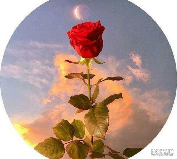 عکس گل و قلب فانتزی عکس گل و قلب فانتزی