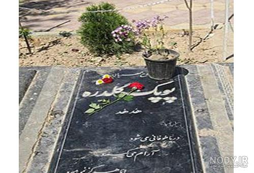 عکسهای تشییع جنازه پوپک گلدره عکسهای تشییع جنازه پوپک گلدره