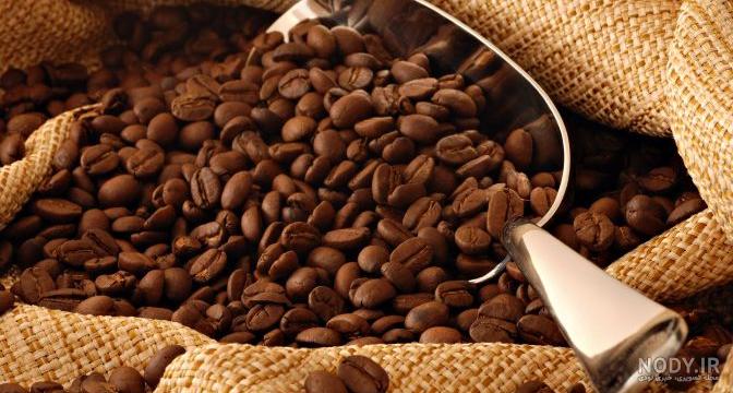 قیمت قهوه اوگاندا قیمت قهوه اوگاندا