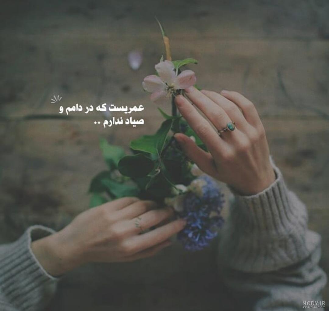 بهترین عکس دخترانه بهترین عکس دخترانه