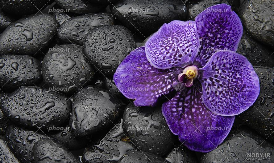 تصویر زمینه خفن تصویر زمینه خفن
