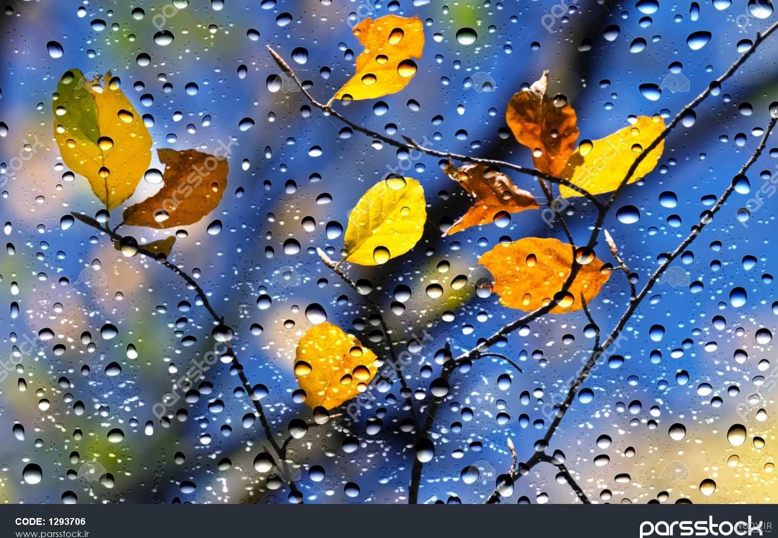 زیباترین عکس پاییزی دنیا زیباترین عکس پاییزی دنیا