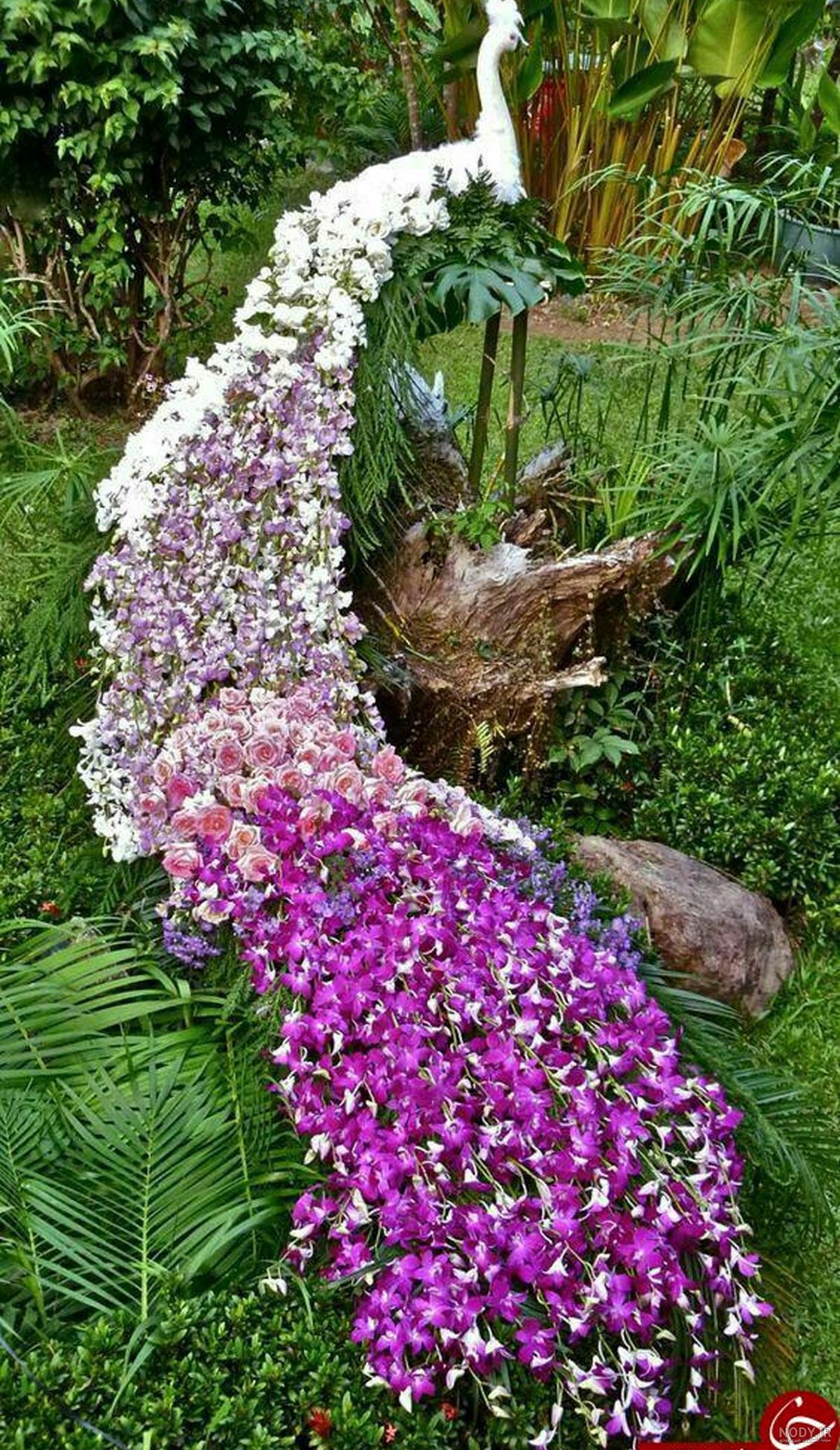 شعر پای طاووس