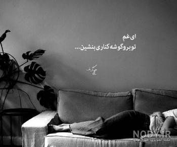 عکس سیاه سفید شاخ عکس سیاه سفید شاخ