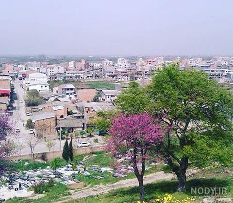 عکس نکا