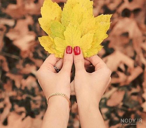 عکس پاییز بارانی عکس پاییز بارانی