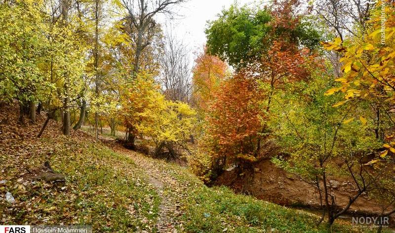 عکسهای پاییز واقعی عکسهای پاییز واقعی