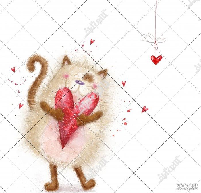 قیمت بچه گربه