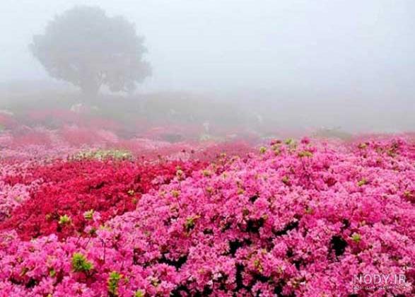 مکان های بکر استان مازندران مکان های بکر استان مازندران