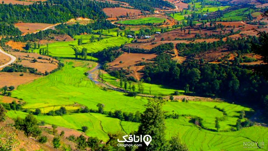 هزارجریب کجاست