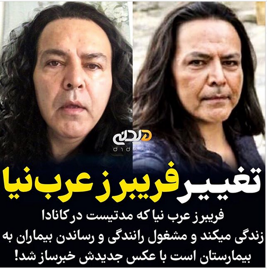 همسر جدید فریبرز عرب نیا