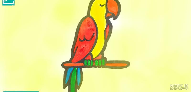  عکس طوطی نقاشی