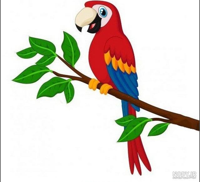  عکس طوطی نقاشی