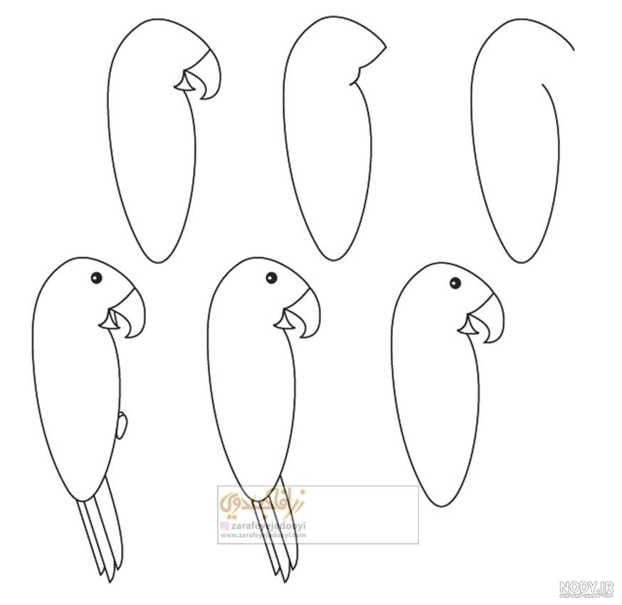  عکس طوطی نقاشی
