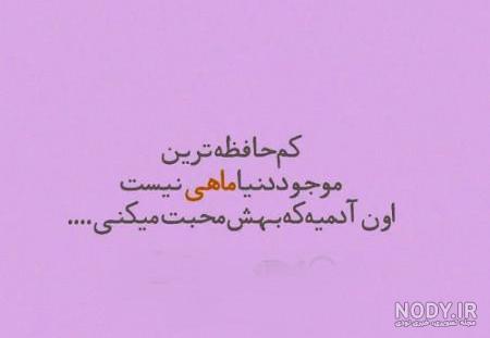 تیکه پروفایل معنی دار