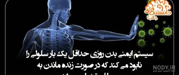 عکس برای گروه واتساپ دخترانه چهار نفره عکس برای گروه واتساپ دخترانه چهار نفره