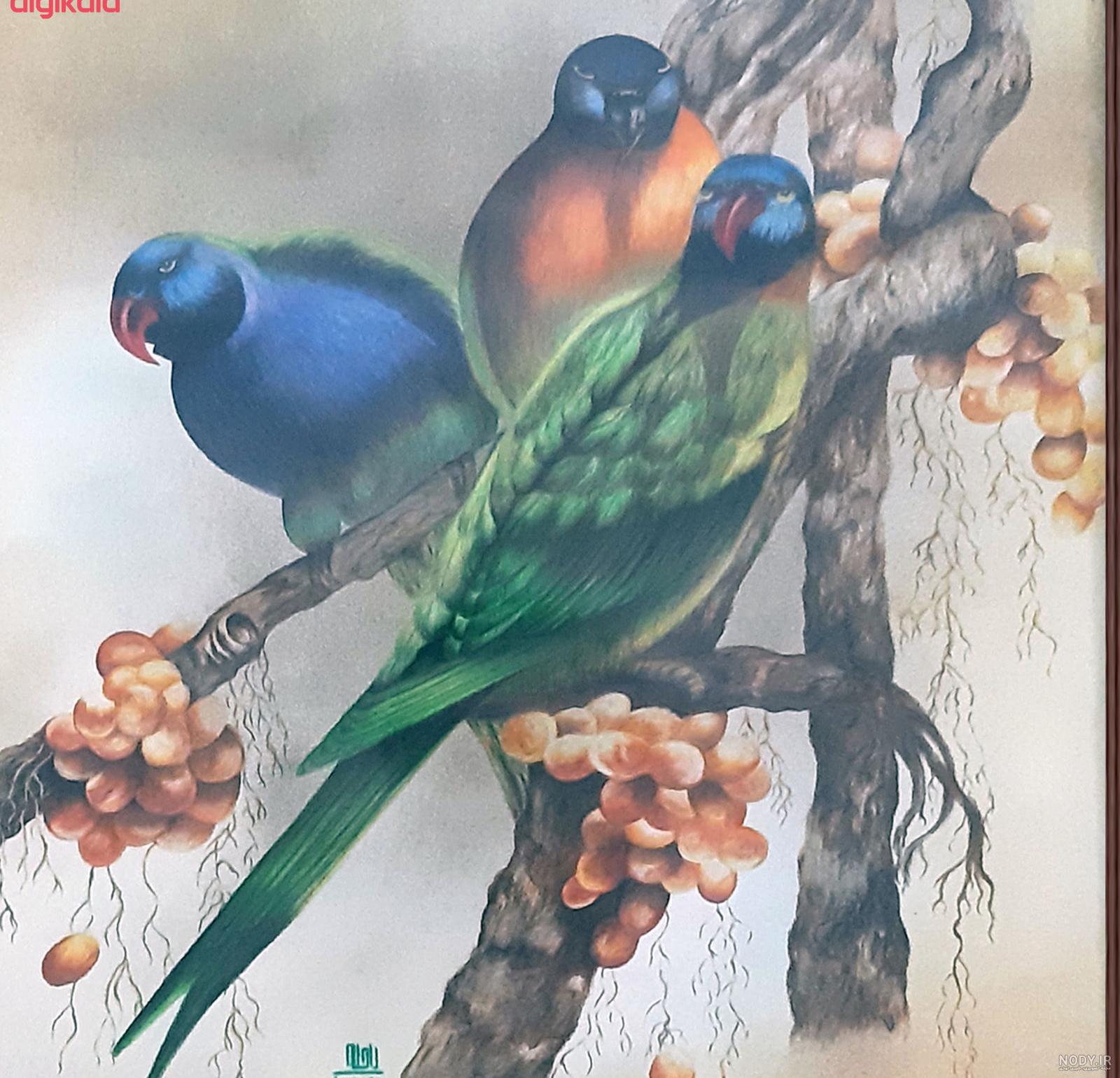 عکس طوطی نقاشی کودکانه عکس طوطی نقاشی کودکانه