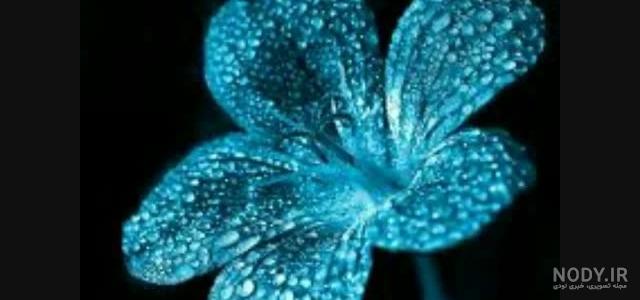 عکس نوشته زیبا عکس نوشته زیبا