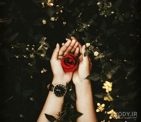 عکس پروفایل ساده و شیک بدون متن عکس پروفایل ساده و شیک بدون متن