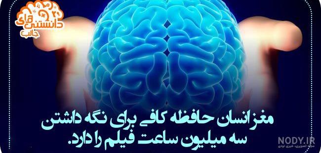 عکس گروه علمی عکس گروه علمی
