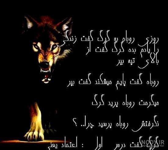 فیلم گرگ