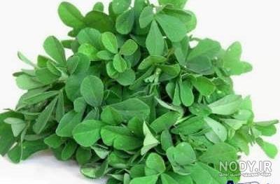 مکمل غذایی خرگوش مکمل غذایی خرگوش