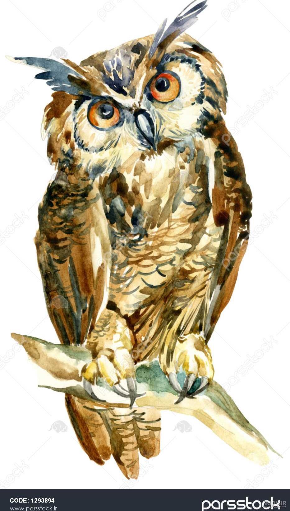 کاردستی با برگ انگور