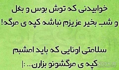 جوک غضنفر نی نی سایت جوک غضنفر نی نی سایت