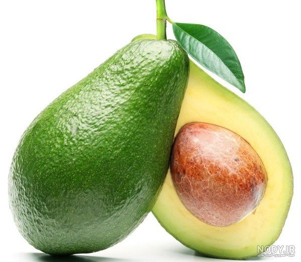 عکس آووکادو نقاشی عکس آووکادو نقاشی