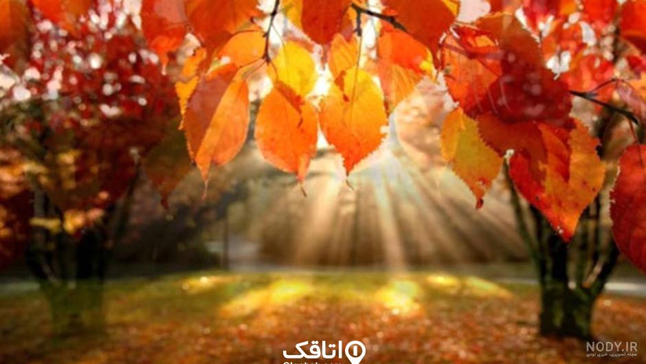 عکس از فصل بهار عکس از فصل بهار