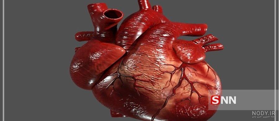 عکس قلب عاشقانه جدید عکس قلب عاشقانه جدید