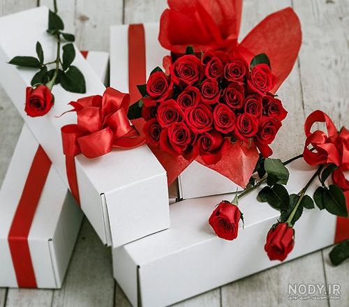 عکس گل و بلبل برای پروفایل
