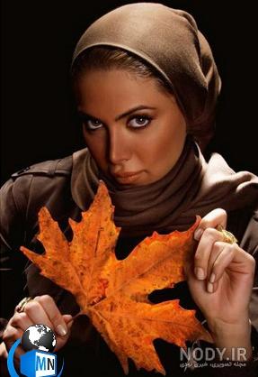 نقطه چین ویکی پدیا