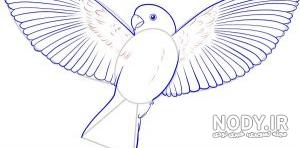  عکس پرنده در حال پرواز نقاشی