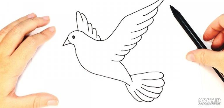  عکس پرنده در حال پرواز نقاشی