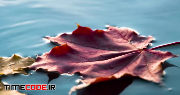 تصویر زمینه پاییزی فانتزی