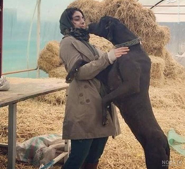 دارا حیایی و باباش دارا حیایی و باباش