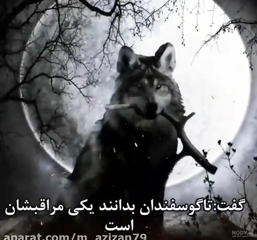 سخنان بزرگان درباره پشت سر حرف زدن