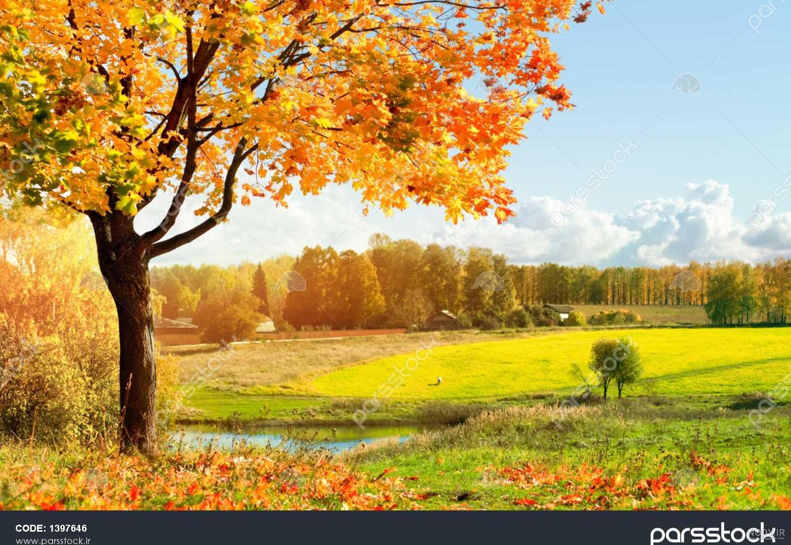 صبح پاییزی صبح پاییزی